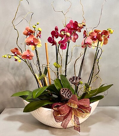 Autumn Orchid Garden
