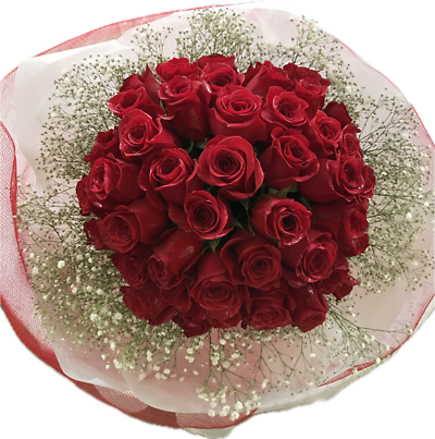 Prelude Red rose wrapped