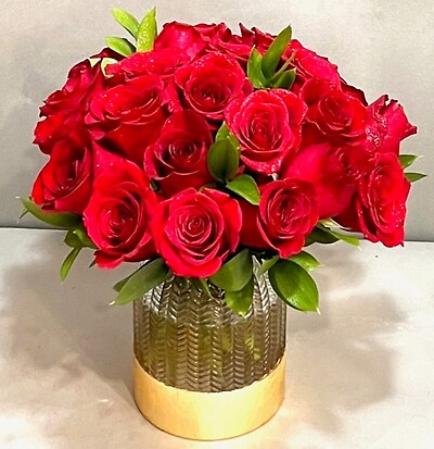 Radiant in Red 2 Dozen Premium Rose