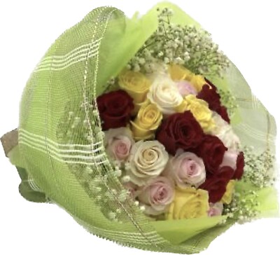 Prelude Rose 1