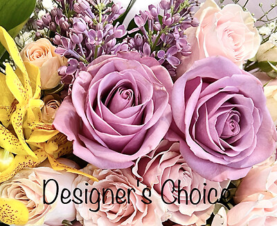 Designer&#039;s Choice