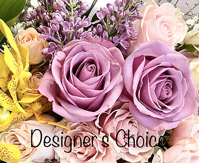 Designer's Choice