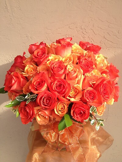 My Love For You