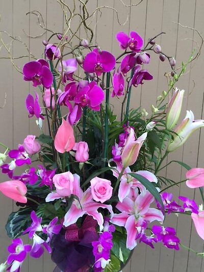 Nature's Enchantment Garden