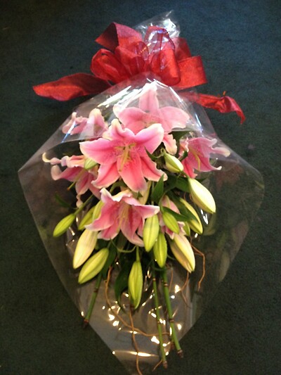 Lily Wrapped In Love