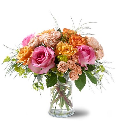 Garden of Rose