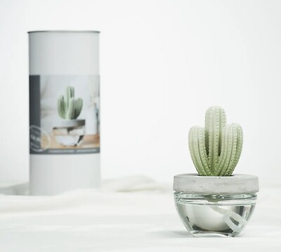 Cactus Ceramic Diffuser Gift Set